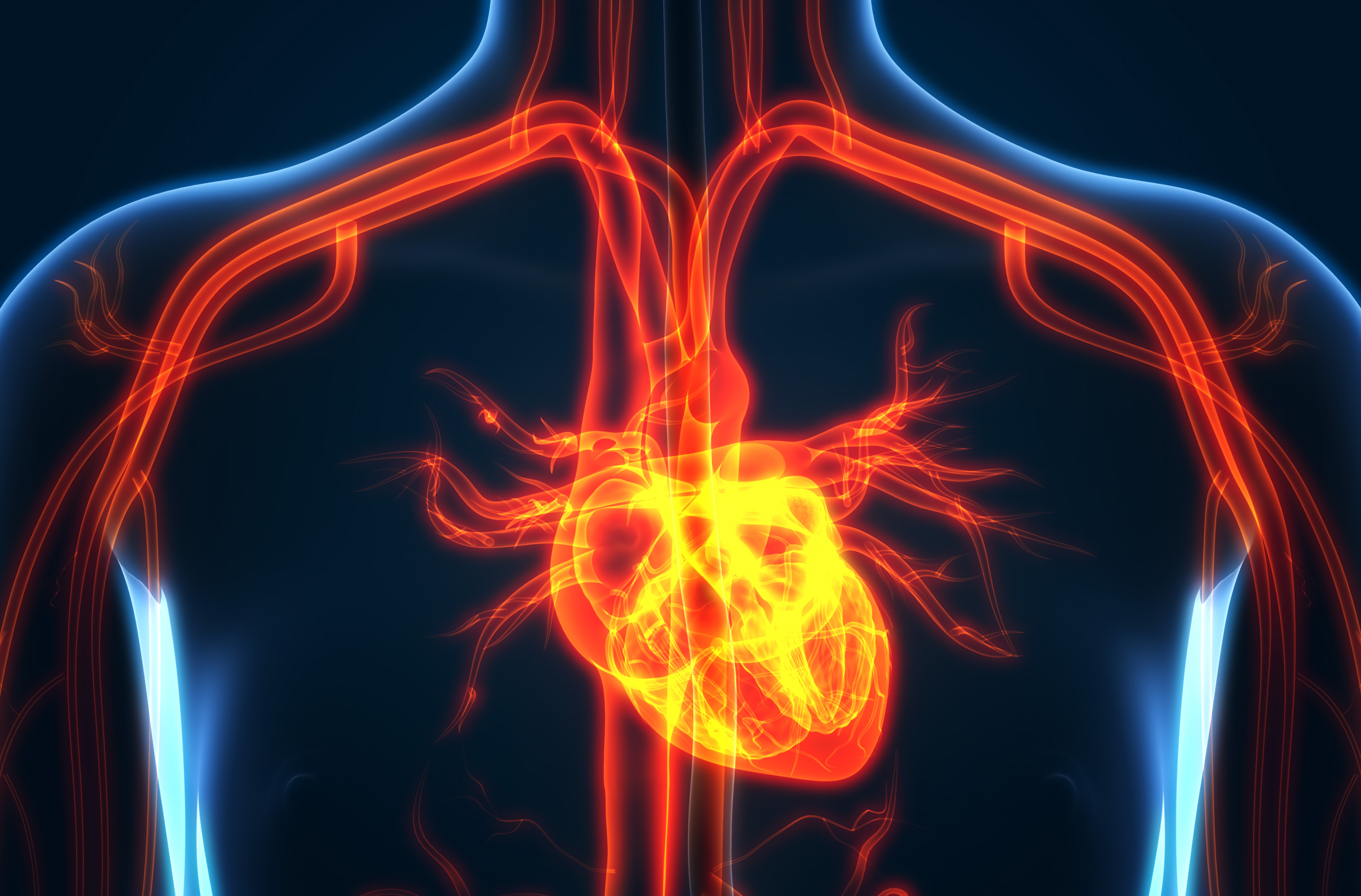 what-is-a-leaky-heart-valve-penn-medicine